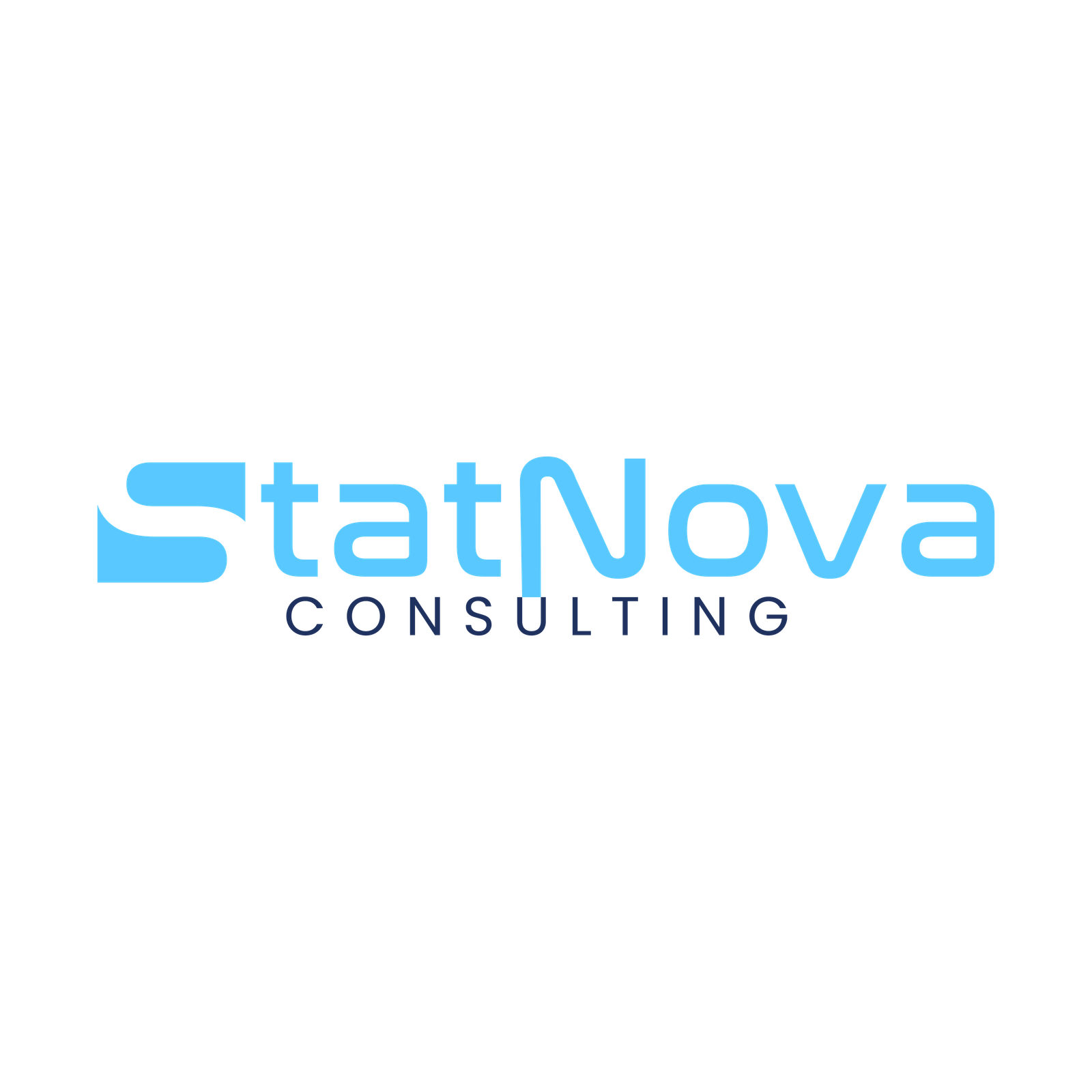StatNova Logo